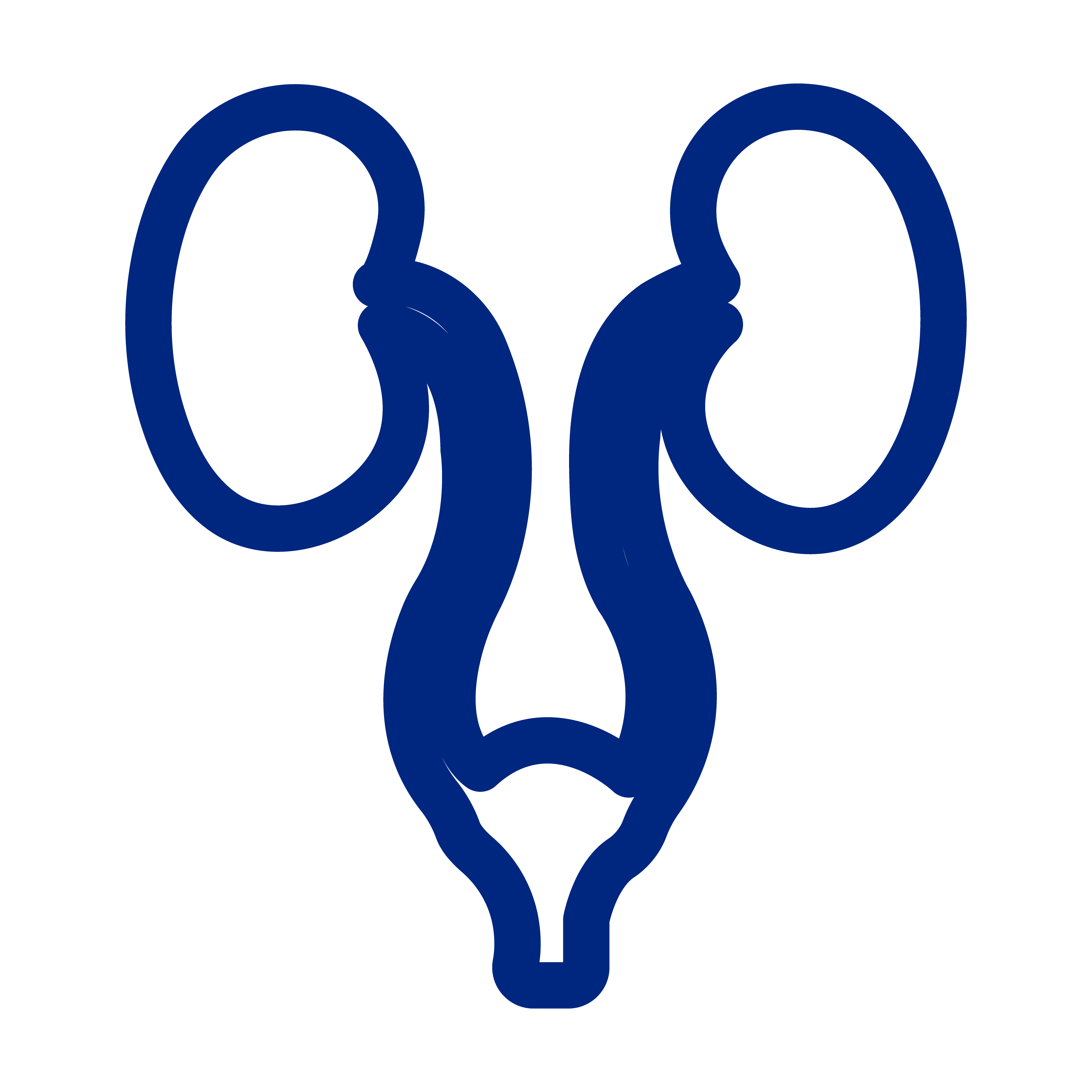 Urology and Nephrology Cancer