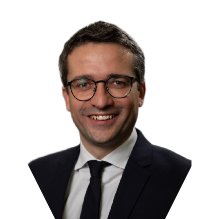 Prof. Matteo Lambertini